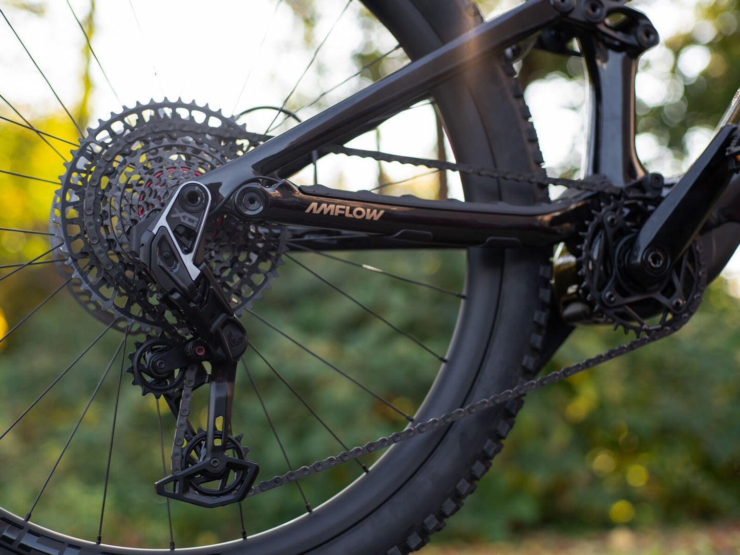 Amflow PL Carbon Pro - 800 Wh Cosmic Black L / 45 cm