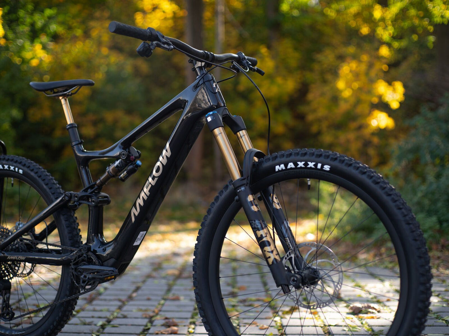 Amflow PL Carbon Pro - 800 Wh Cosmic Black L / 45 cm