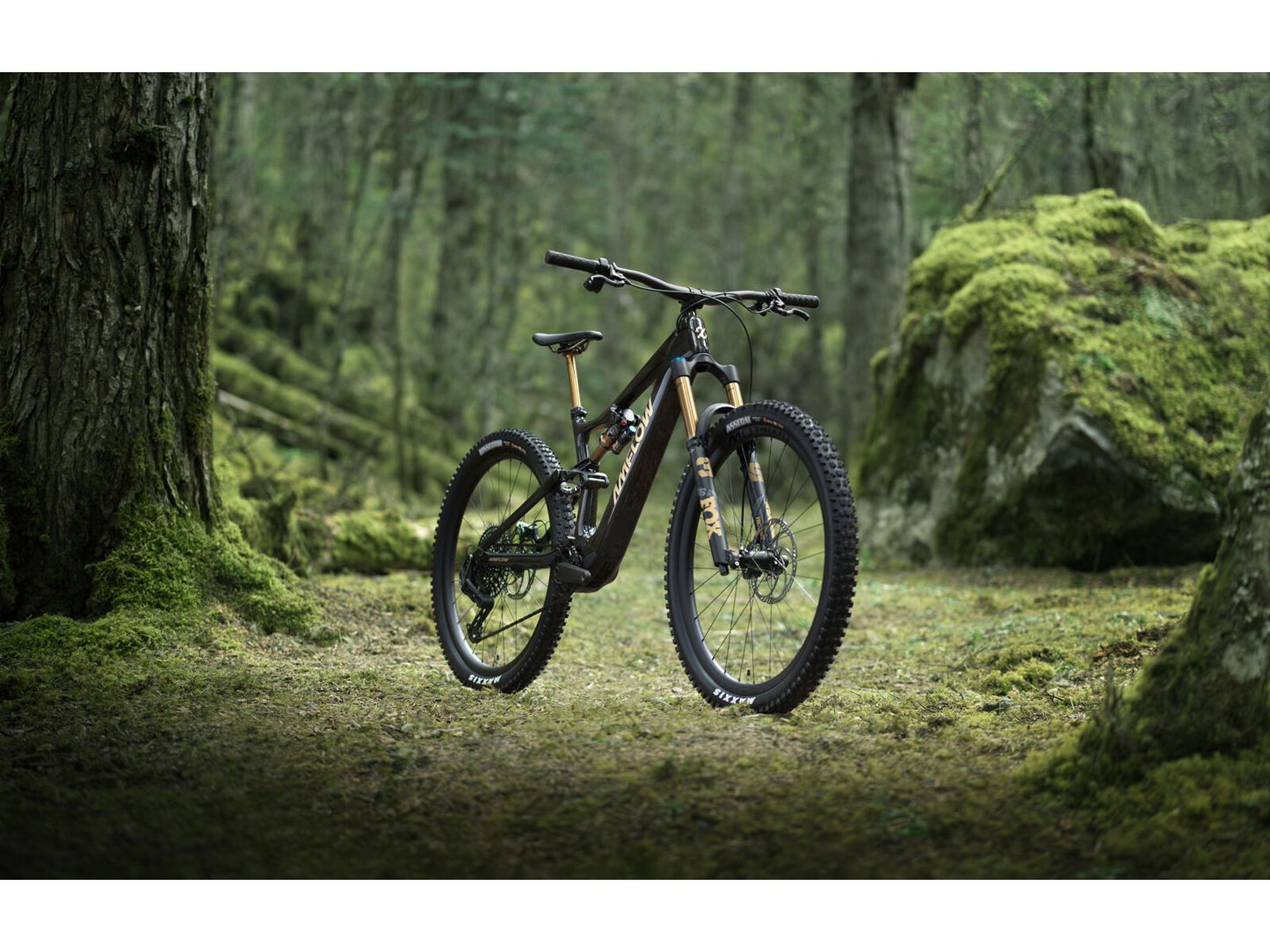 Amflow PL Carbon Pro - 800 Wh Cosmic Black L / 45 cm