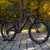 Amflow PL Carbon Pro - 800 Wh Cosmic Black L / 45 cm
