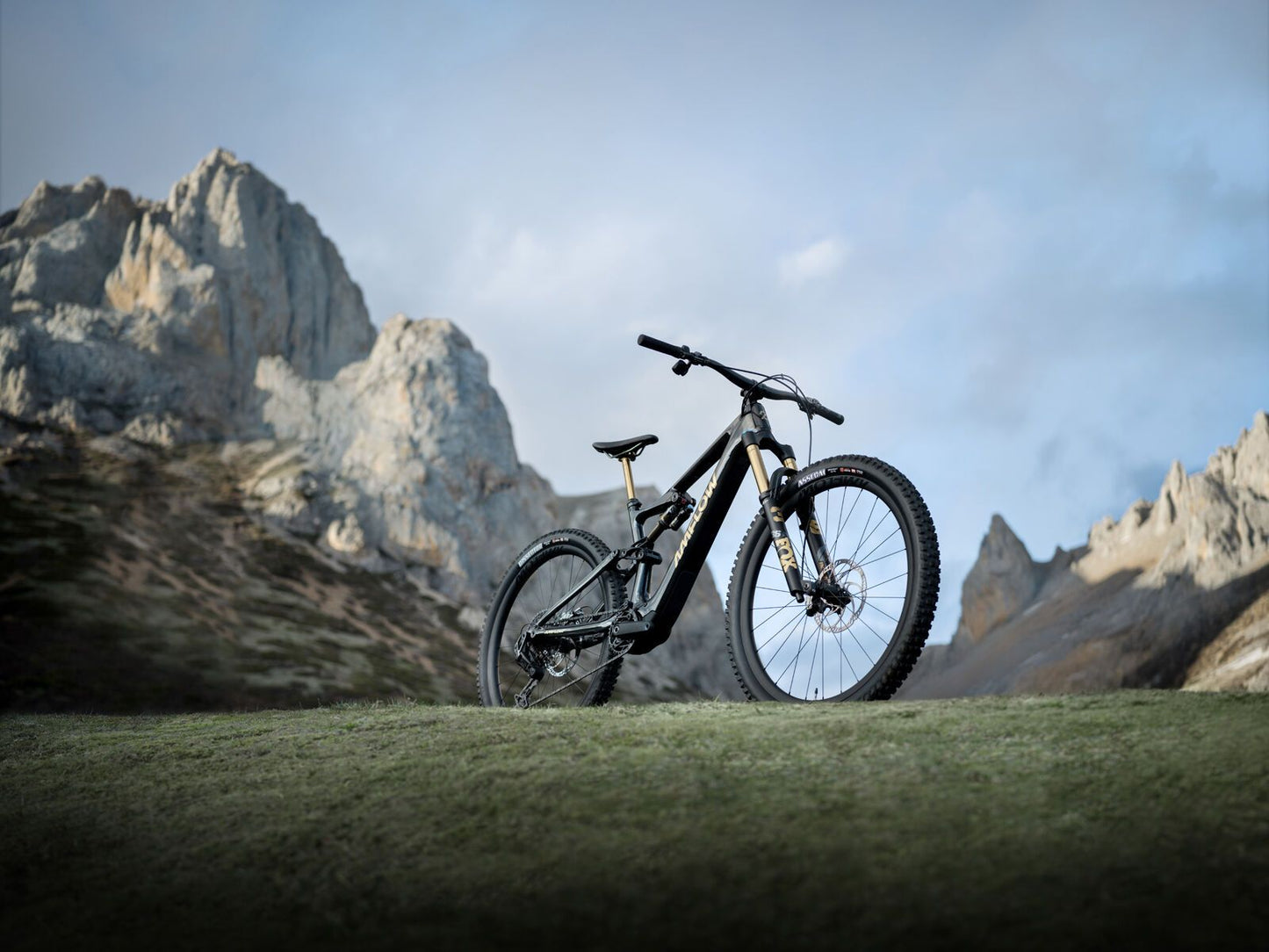 Amflow PL Carbon Pro - 800 Wh Cosmic Black L / 45 cm