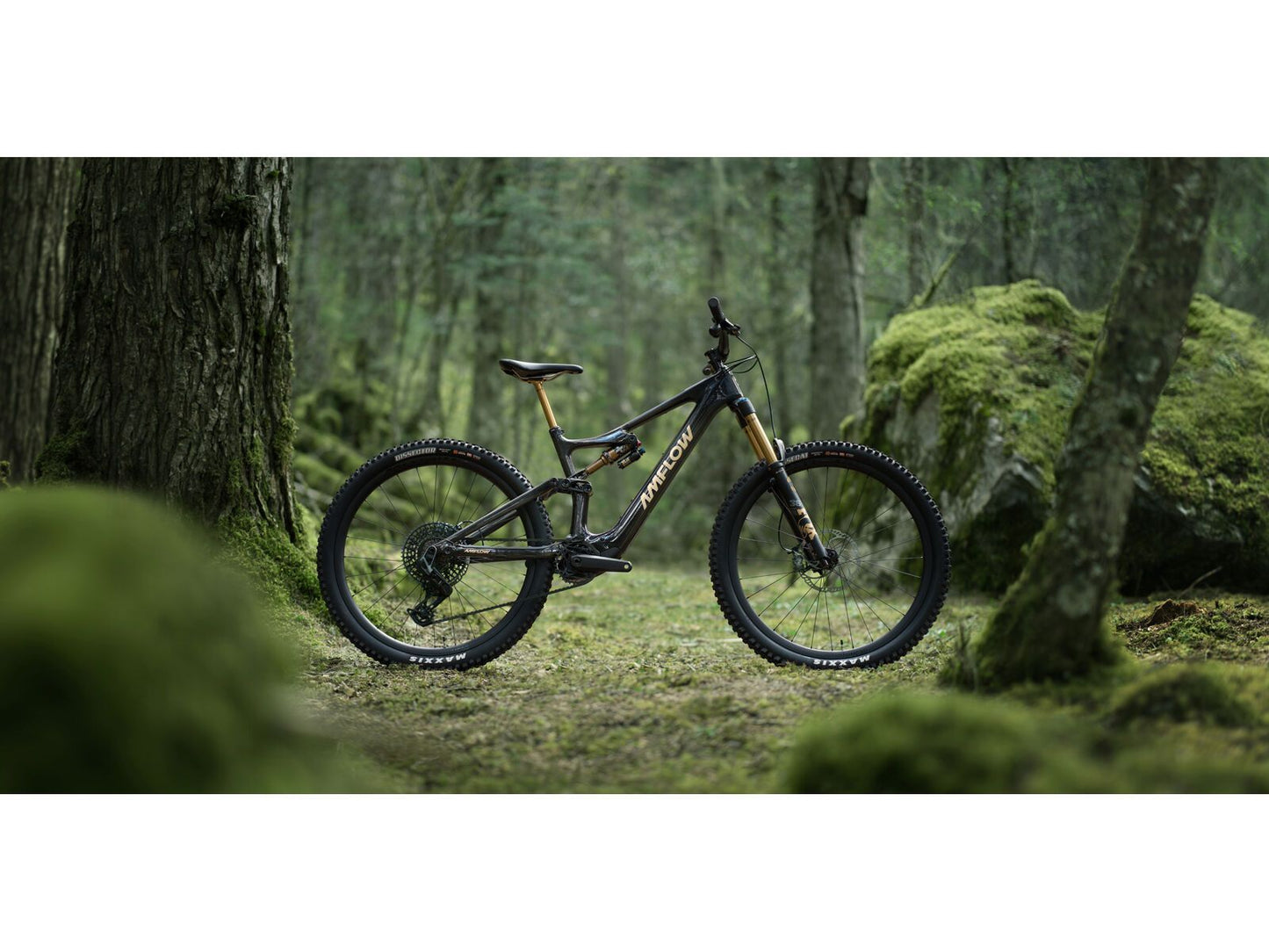 Amflow PL Carbon Pro - 800 Wh Cosmic Black L / 45 cm