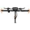 RCB D7 Pro Ultra mit NFC E-Roller (10 Zoll, Orange)