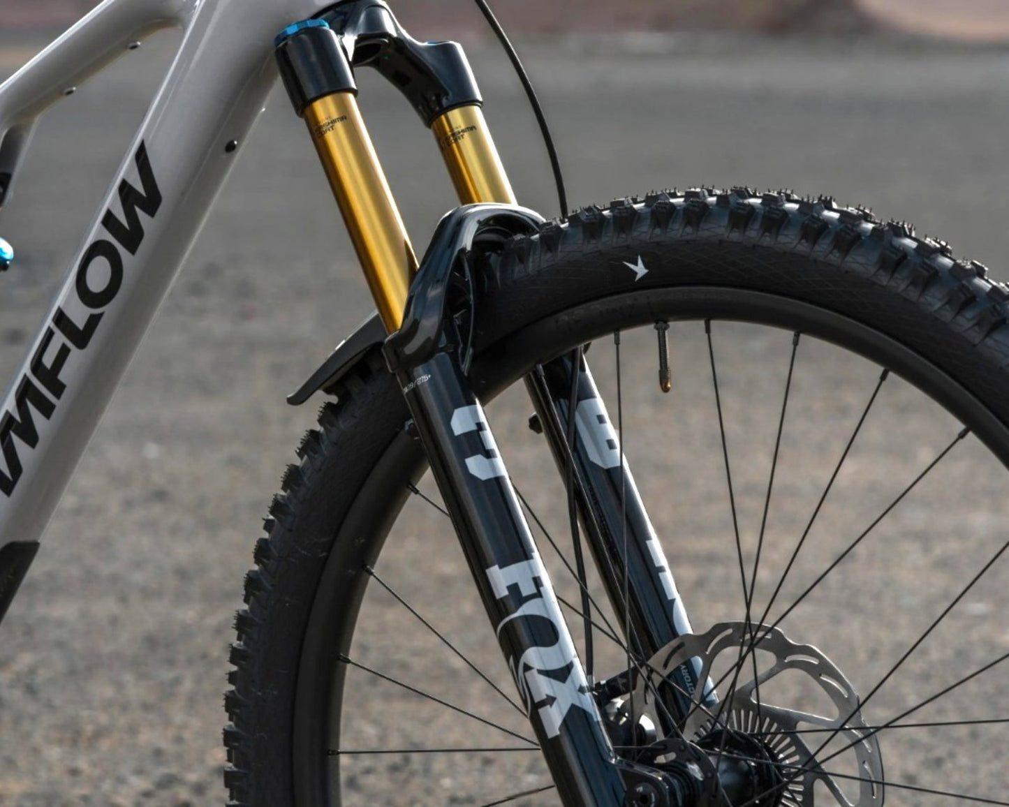 AMFLOW PX Carbon Pro 700Wh - Mullet E-MTB Fully | moonstone gray M