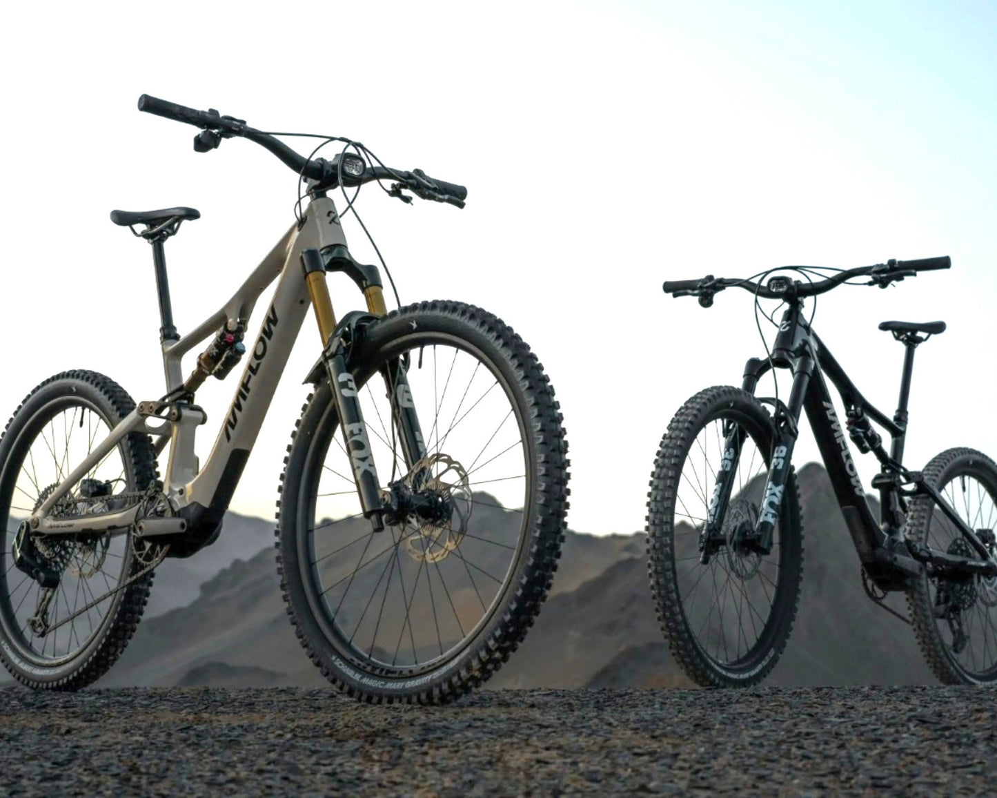 AMFLOW PX Carbon Pro 700Wh - Mullet E-MTB Fully | moonstone gray M