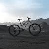 AMFLOW PX Carbon Pro 700Wh - Mullet E-MTB Fully | moonstone gray M