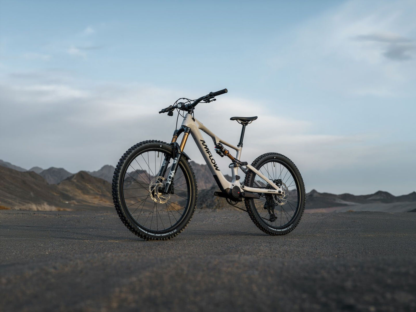 AMFLOW PX Carbon Pro 700Wh - Mullet E-MTB Fully | moonstone gray M