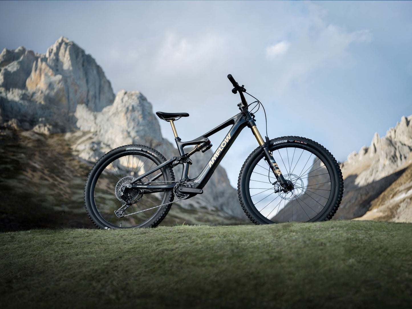 Amflow PL Carbon Pro - 800 Wh Cosmic Black L / 45 cm