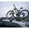Amflow PL Carbon Pro - 800 Wh Cosmic Black L / 45 cm